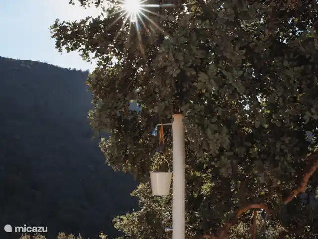 Finca Zennay Malaga  | Espagne, Andalousie, Canillas de Aceituno - finca Douche extérieure