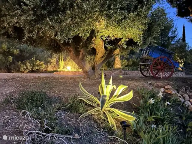 Casa Los Olivos Vista - Chambre Lucio | Espagne, Costa Cálida, Aguilas - chambres d'hôtes Éclairage d'ambiance dans le jardin.