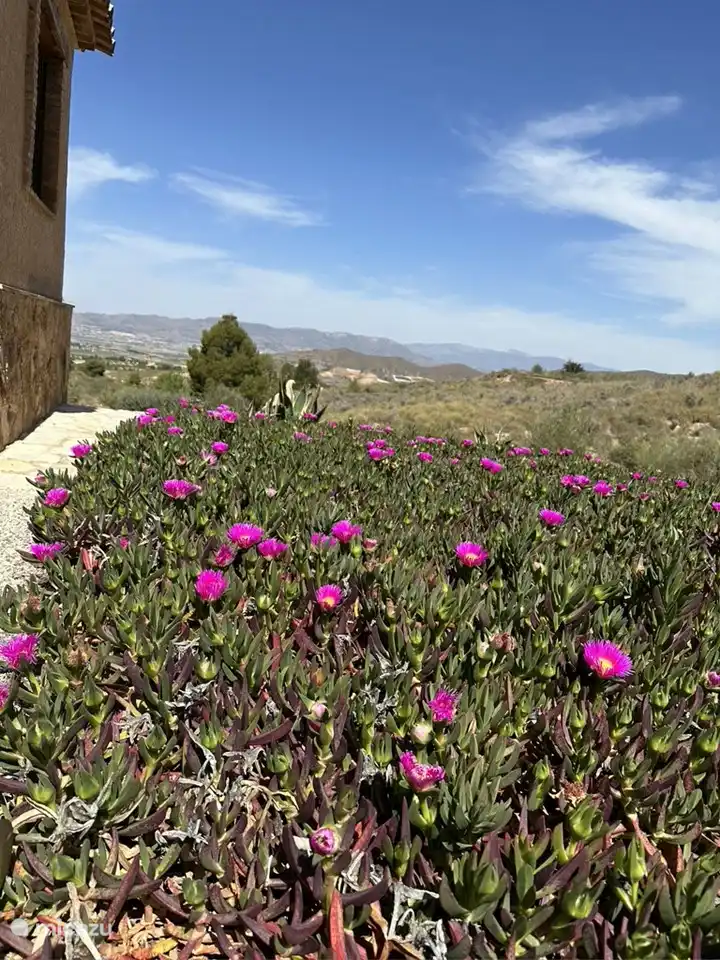 Blick auf die Berge.