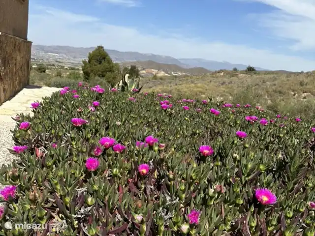 Casa Los Olivos Vista - App. Picual | Espagne, Costa Cálida, Aguilas - appartement Vue sur les montagnes.