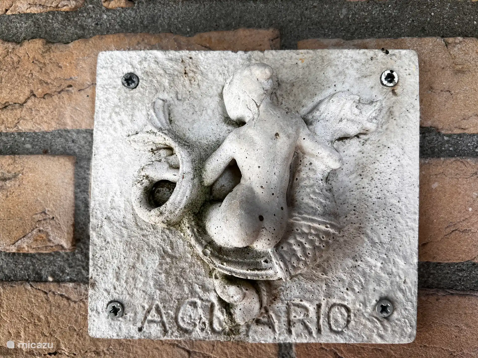 Aquario