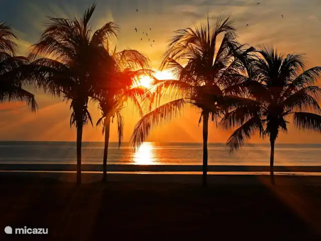 Casa Playa Guadalmar huren in Spanje, Costa del Sol, Málaga - appartement Bekijk de zonsondergang op het strand van Guadalmar!