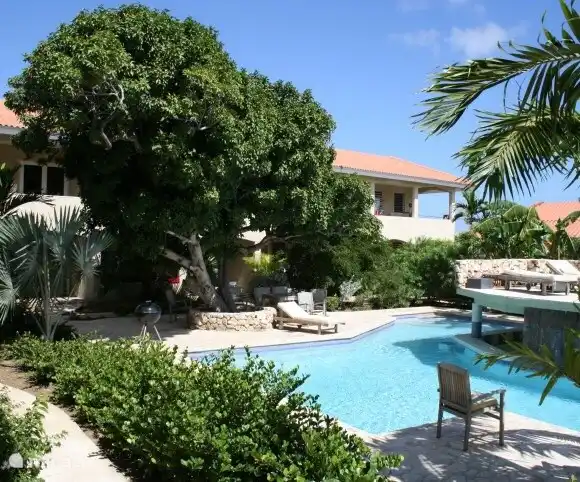 Swimming pool with terrace