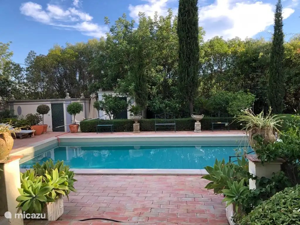 villa, Faro, Algarve, Portugal - Villa Monte do Cerrito