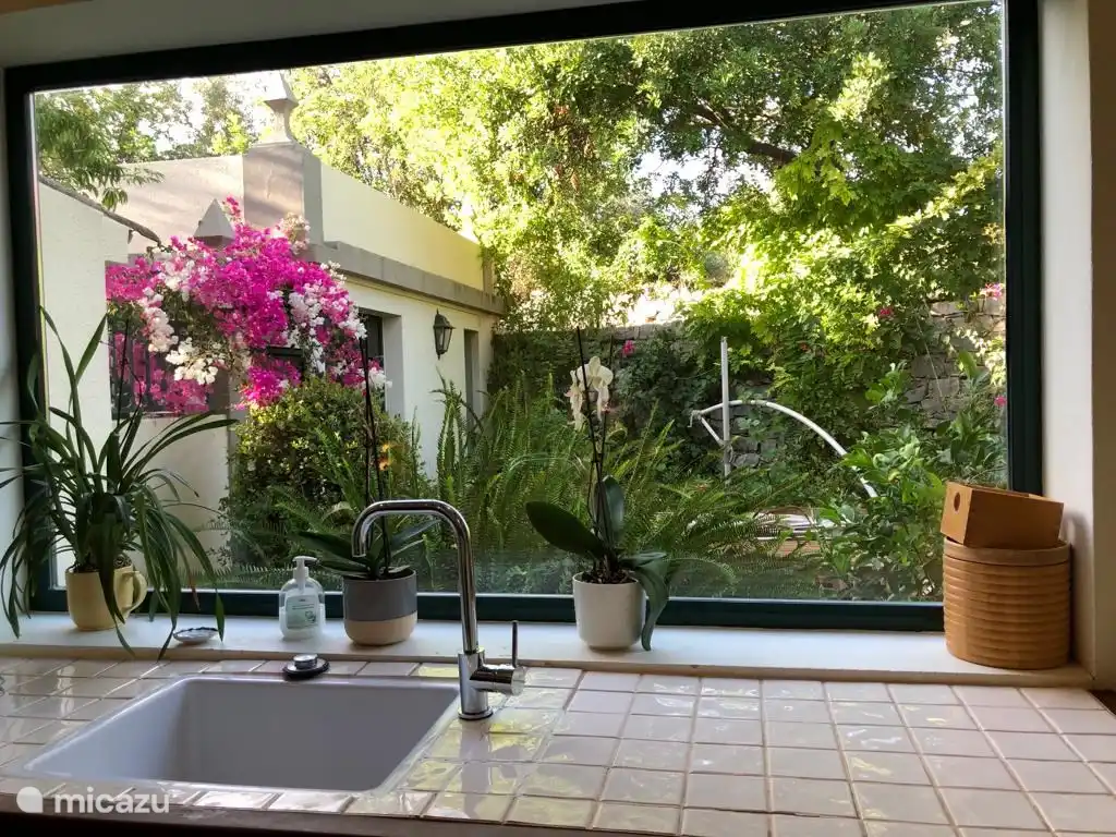 cocina vista a terraza y taller