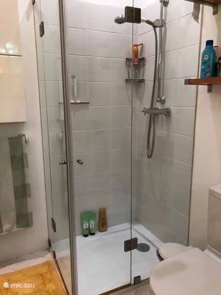 cuarto de ba&#241;o con plato de ducha en el dormitorio de la planta baja