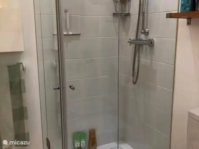 Villa Monte do Cerrito huren in Portugal, Algarve, São Brás de Alportel - villa badkamer met inloopdouche bij slaapkamer begane grond