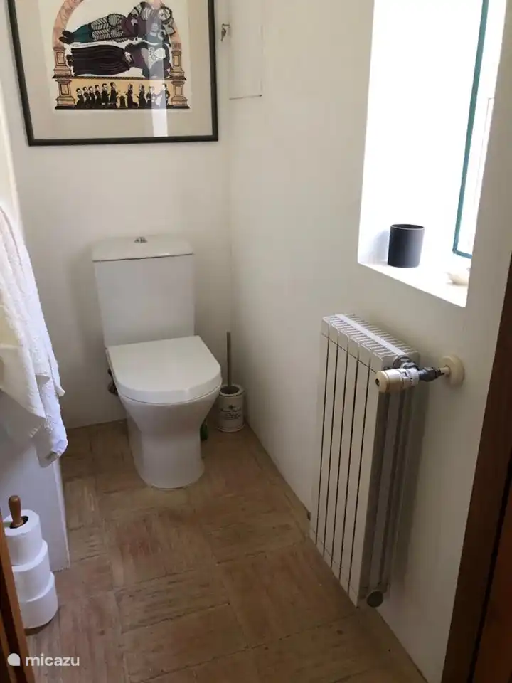 aseo de invitados planta baja