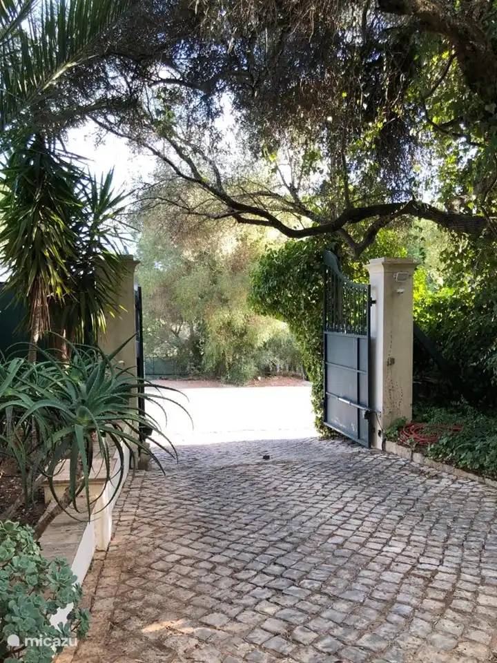 port&#243;n de entrada