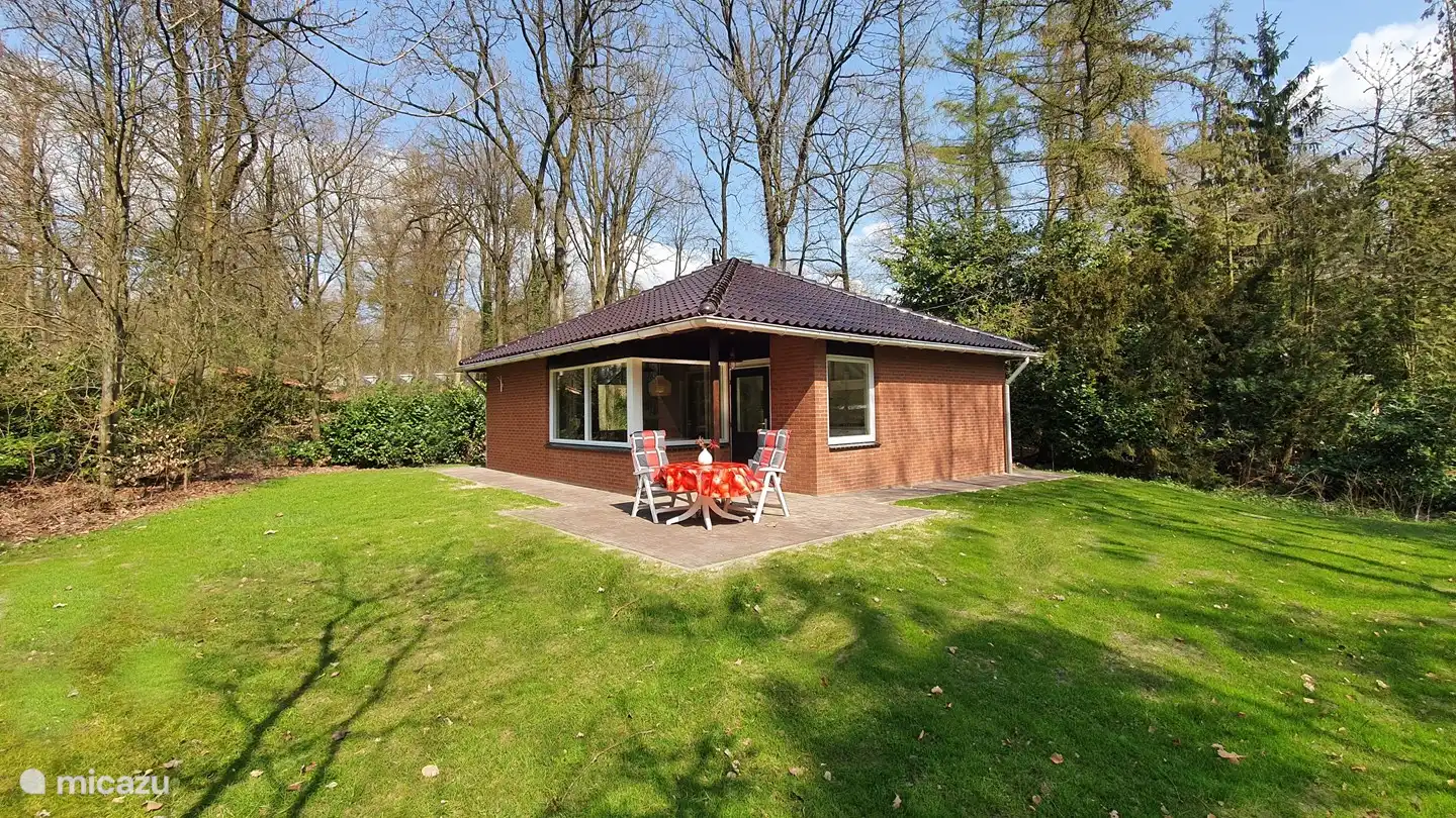 Die Blaumeise in Niederlande, Overijssel, Ootmarsum - bungalow