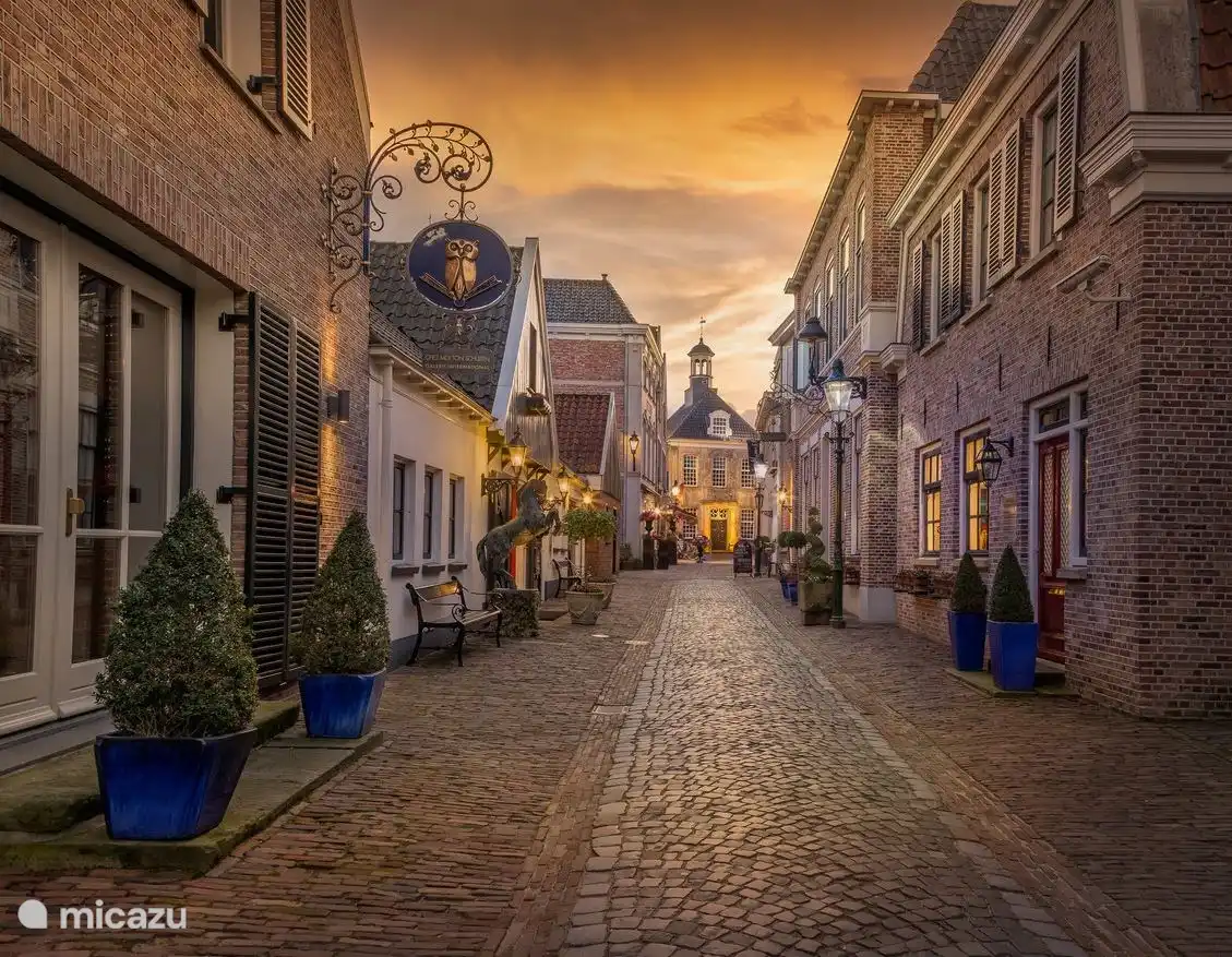 Nur wenige Gehminuten oder mit dem Fahrrad vom malerischen Ootmarsum entfernt