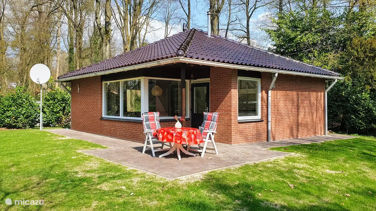 die Blaumeise mit Terrasse