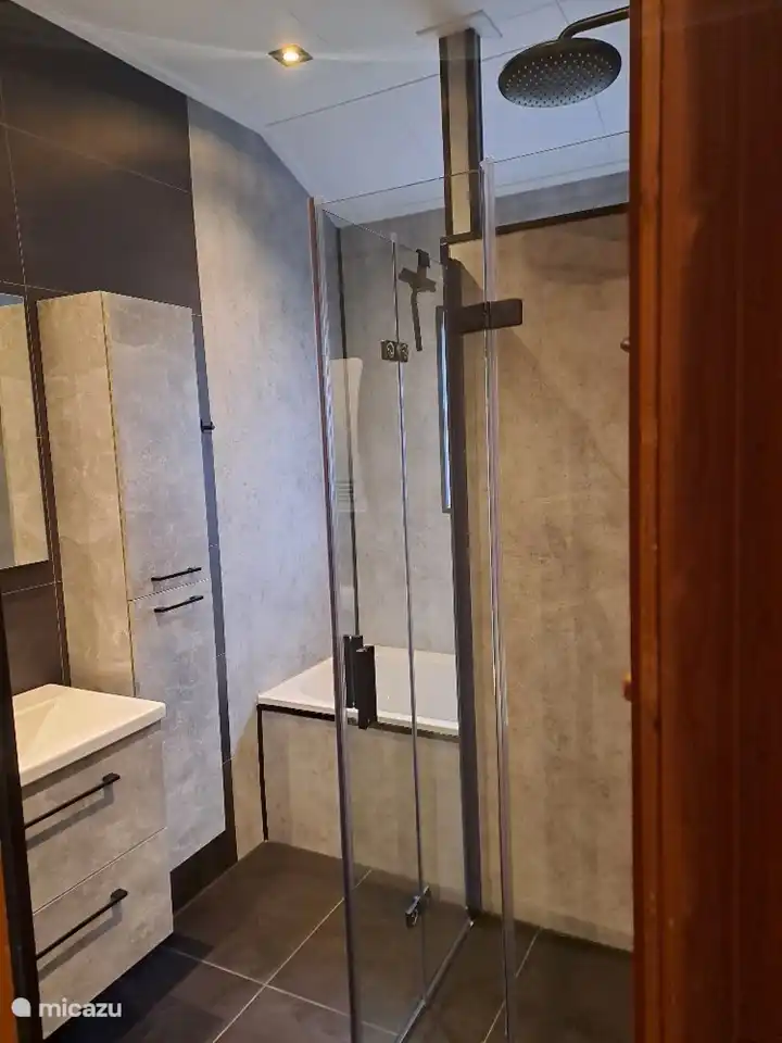 Badezimmer mit Badewanne und Regendusche