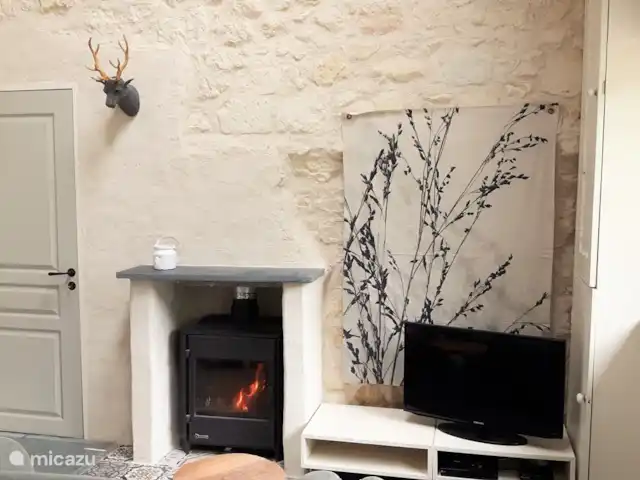 Le Petit Verger - Château la Mothaye | France, Loire, Brion - gîte / cottage salon avec poêle à bois