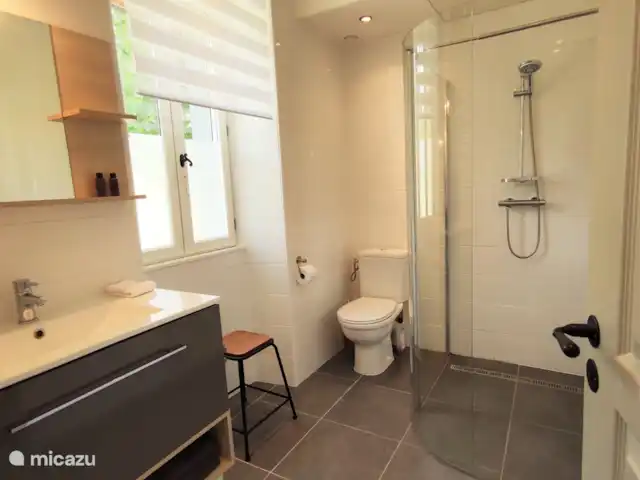 Le Petit Verger - Château la Mothaye | France, Loire, Brion - gîte / cottage salle de bains