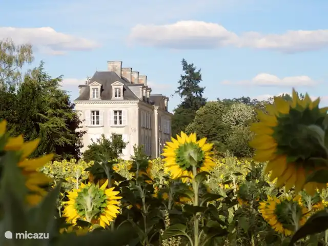 Le Petit Verger - Château la Mothaye | France, Loire, Brion - gîte / cottage Château la Mothaye dans les champs de tournesols