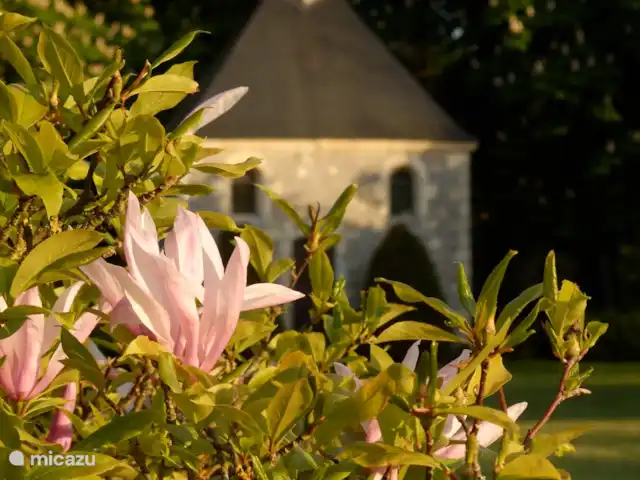 Le Petit Verger - Château la Mothaye | France, Loire, Brion - gîte / cottage