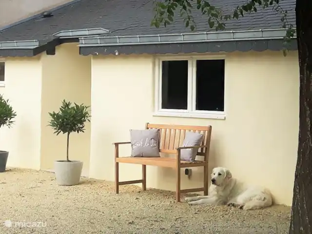 Le Petit Verger - Château la Mothaye | France, Loire, Brion - gîte / cottage Entrée