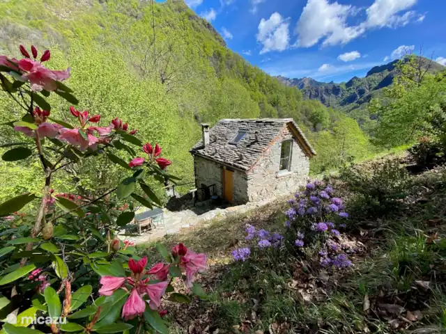 Cabane de Montagne Valsesia Nel Bosco | Italie, Piémont, Cravagliana - tiny house Cabane de Montagne Valsesia Nel Bosco | Italie, Piémont, Cravagliana - tiny house
