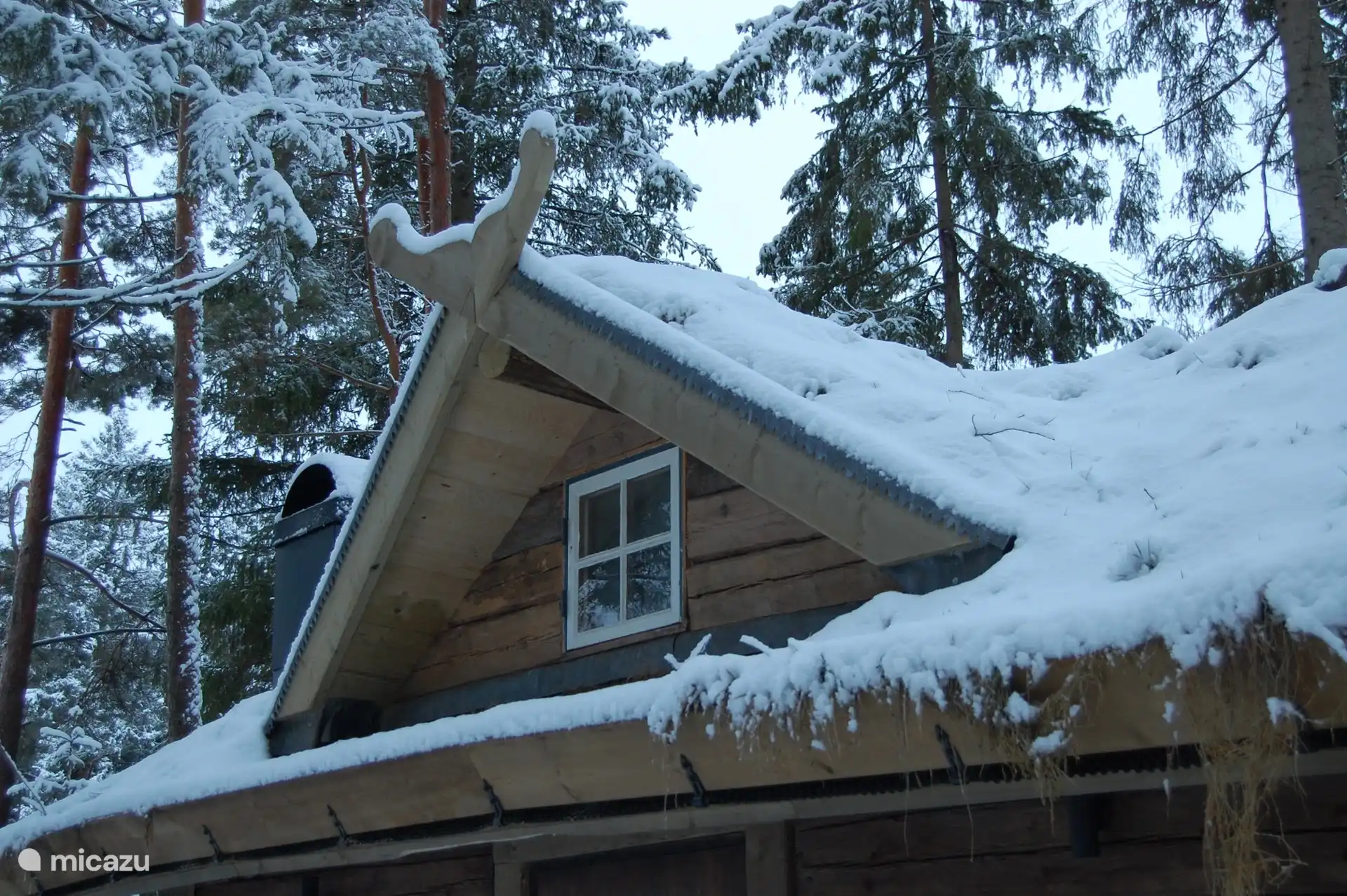 winter photo dormer