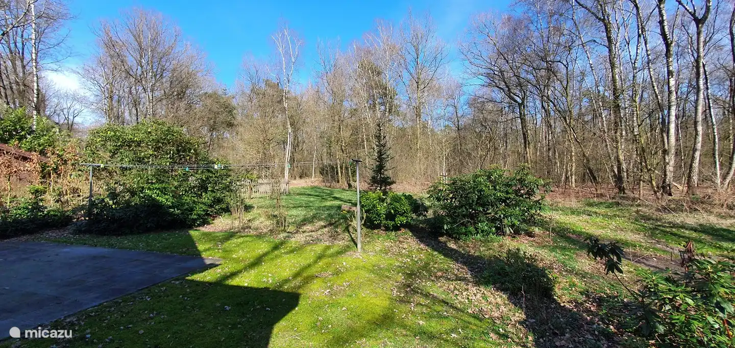 Terrasse avec vue sur la forêt