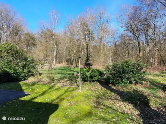 Le Chardonneret | Pays-Bas, Overijssel, Ootmarsum - bungalow Terrasse avec vue sur la forêt