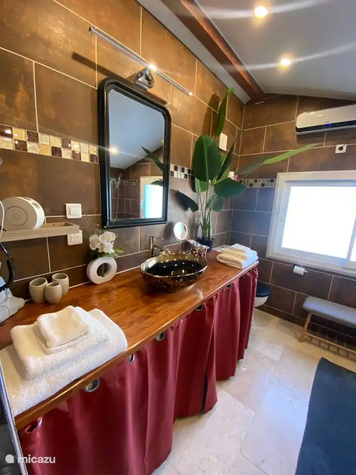 SALLE DE BAIN DOUCHE ET BAIGNOIRE