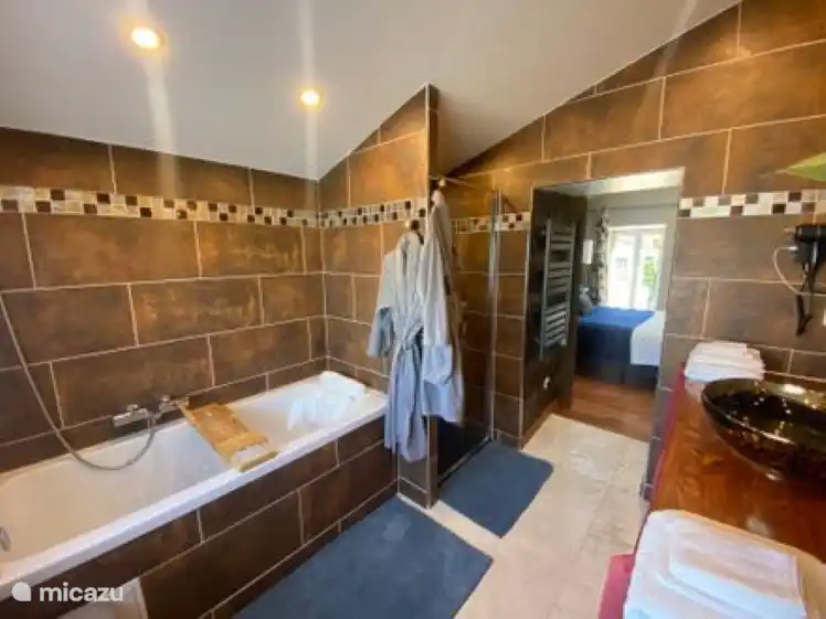 SALLE DE BAIN DOUCHE ET BAIGNOIRE