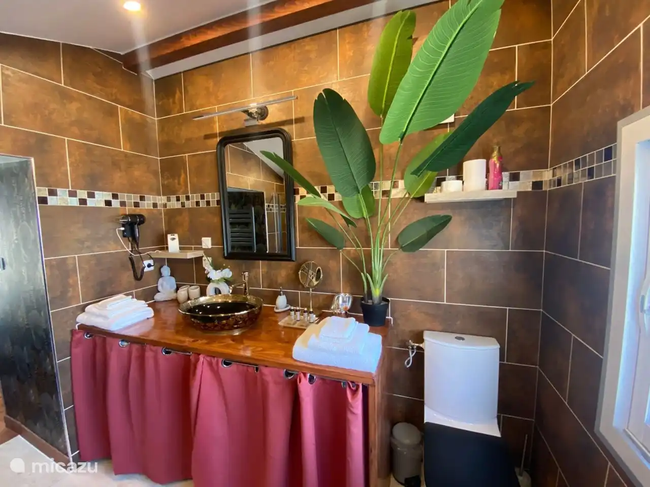 SALLE DE BAIN DOUCHE ET BAIGNOIRE