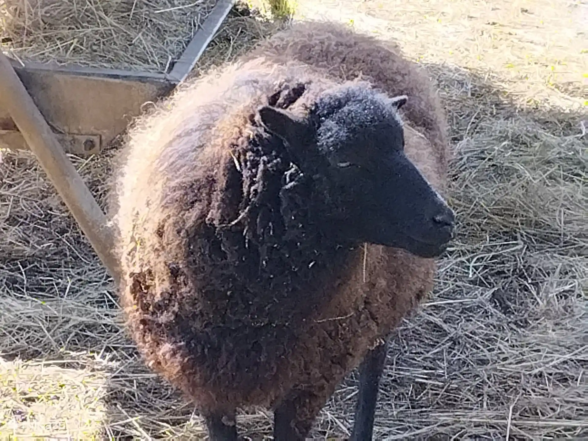 Mini Parc Animalier