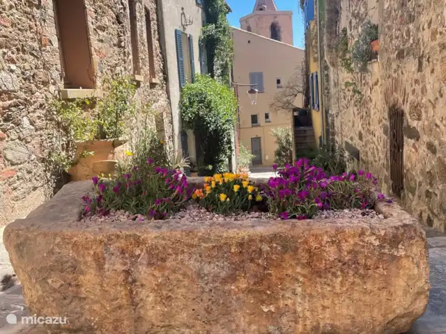 La Petite Villa Amarilla en Francia, Costa Azul, Grimaud - casa vacacional El viejo Grimaud