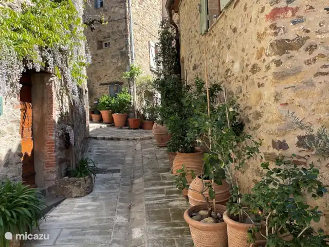 La Petite Villa Amarilla en Francia, Costa Azul, Grimaud - casa vacacional Grimaud