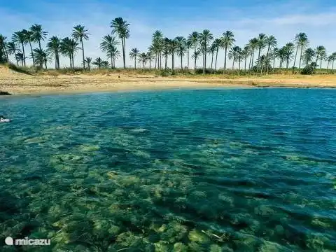 The beautiful palm beach, found at Cala Ferris.