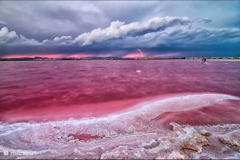 The pink salt lake, which turns very beautifully pink in this photo.