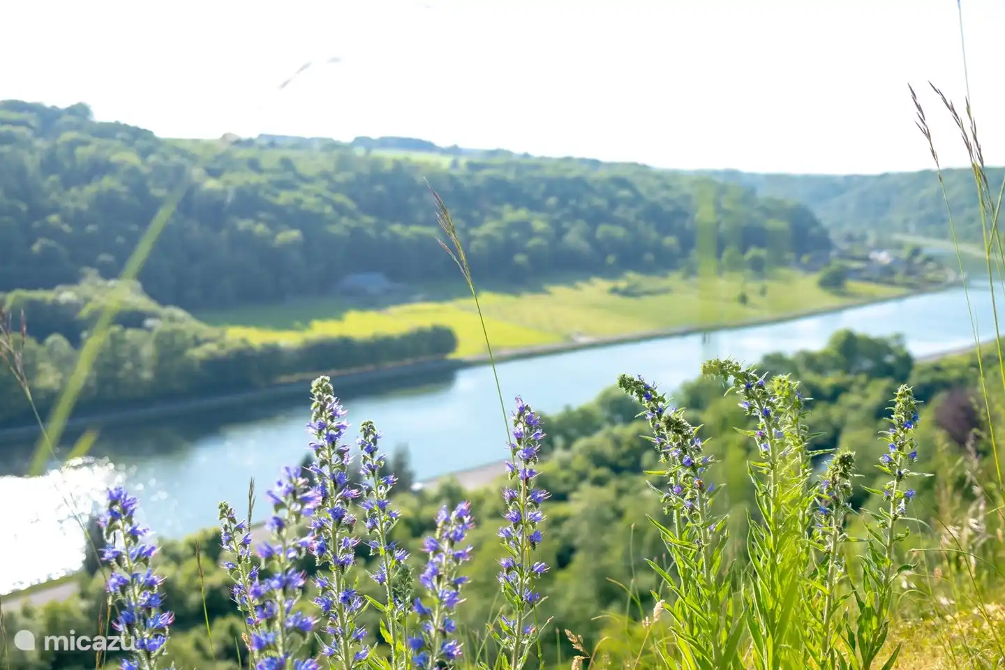 Breathtaking view of the Maas Valley 500 meters from the bungalow