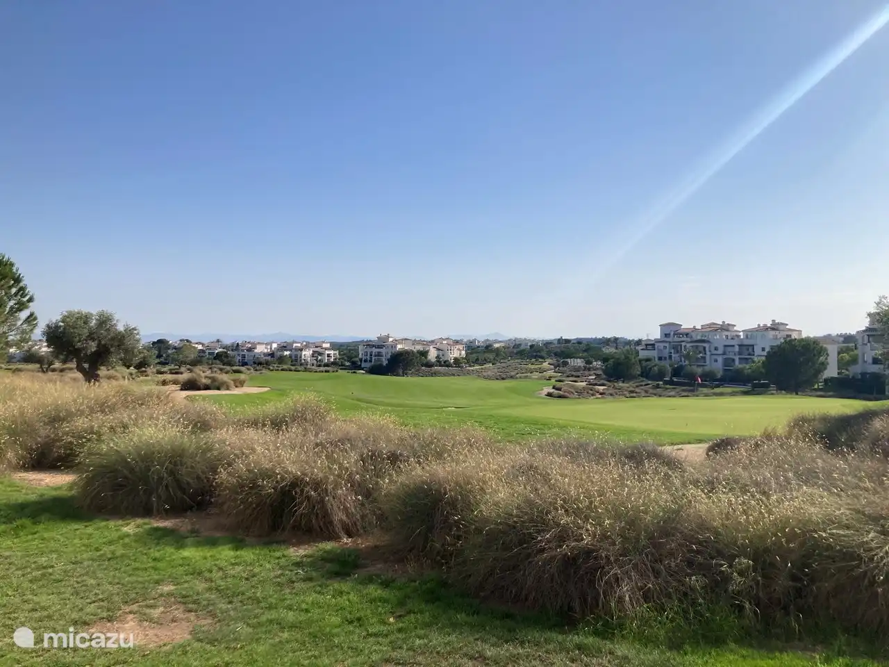 Vista desde la terraza orientada al sur.