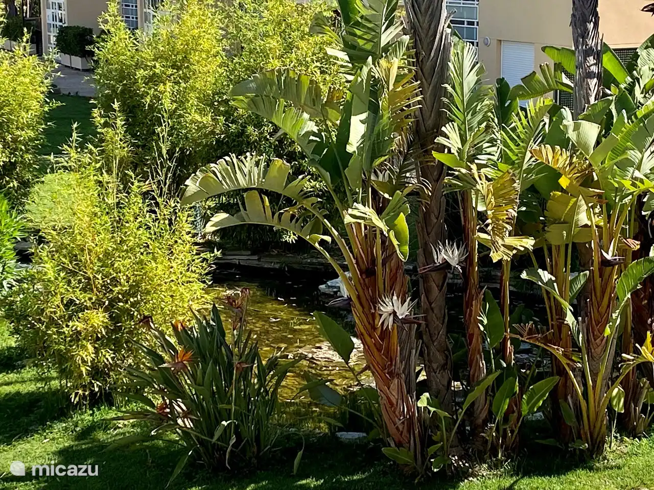 Jardin avec de nombreuses plantations 