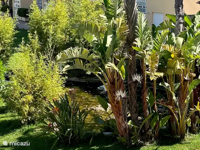 Location de Vacances Espagne, Costa Blanca, Jávea, appartement - Chez Anne Jardin avec de nombreuses plantations
