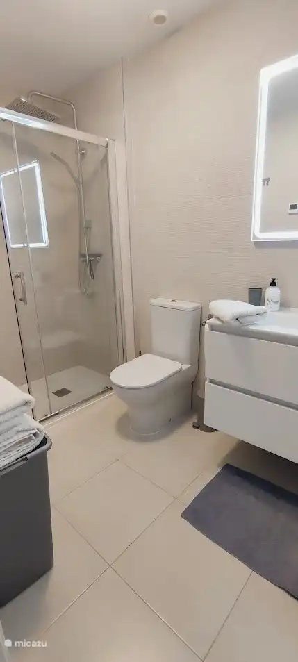 Salle de bain 1 avec douche à effet pluie, toilettes et lavabo