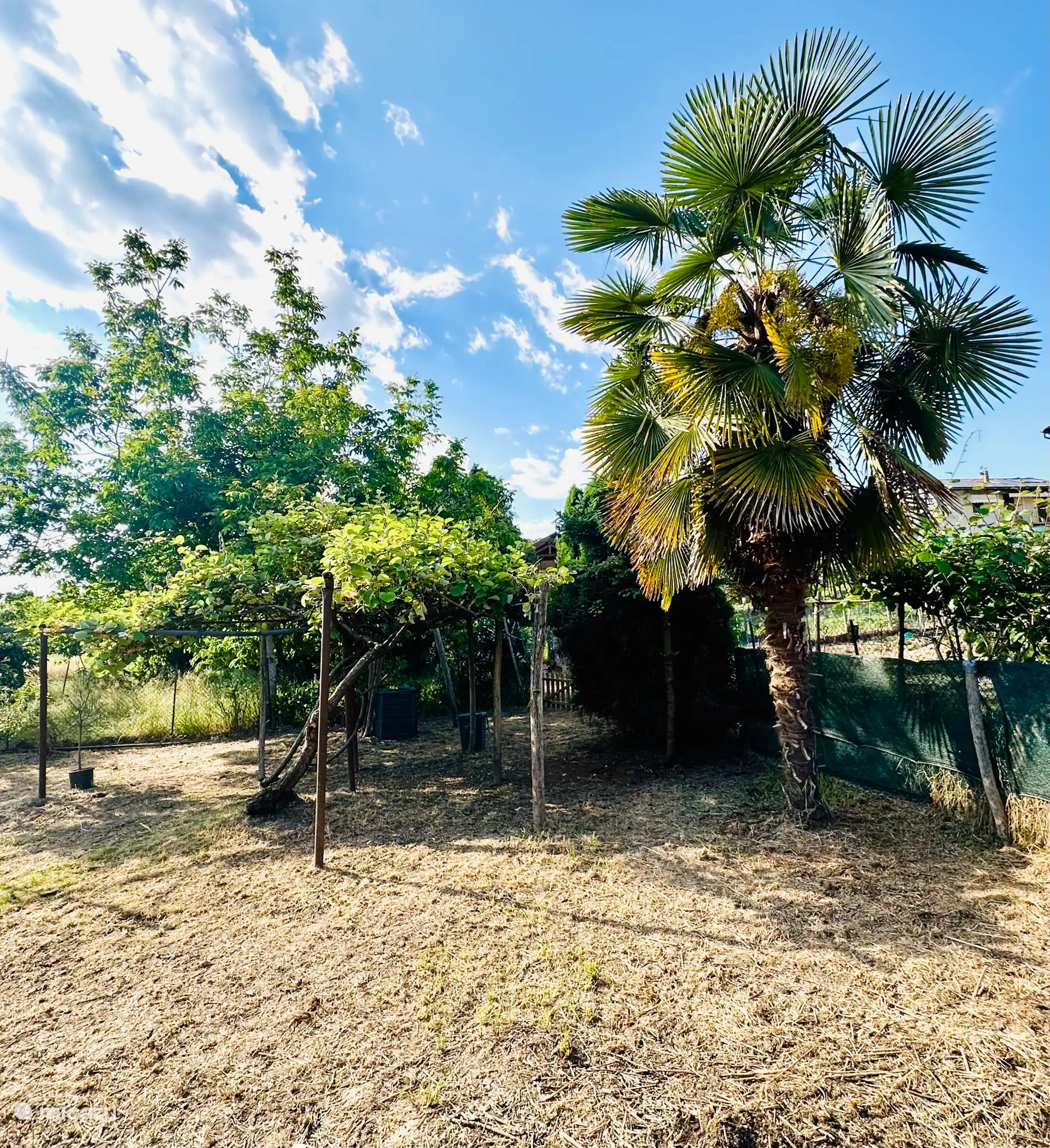 Großer überdachter Garten mit Schatten und Sonne, Kiwi-Bäume und Palmen von 400 m². Hinter dem Garten kann man direkt in den Wald oder entlang des Flusses gehen. 