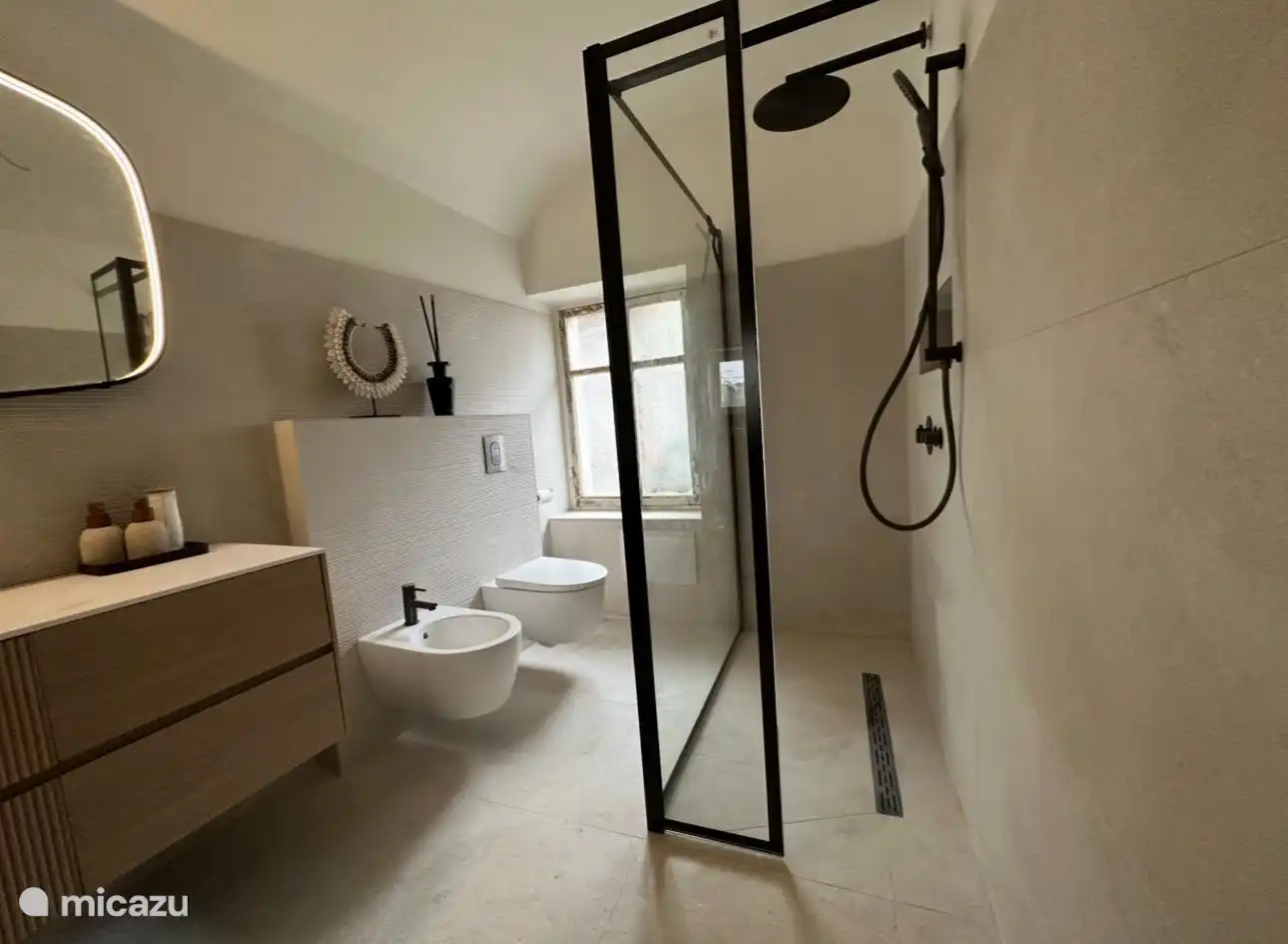 Salle de bain de luxe avec une grande douche à l’italienne, un bidet et des toilettes 