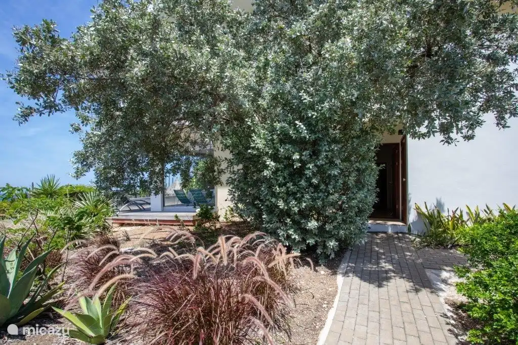 Entrée de l'appartement