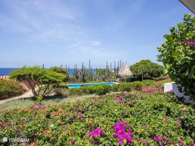 Boca Gentil | appartement côté baie 6 | Curaçao, Banda Ariba (est), Vista Royal - appartement Piscine commune à l'appartement
