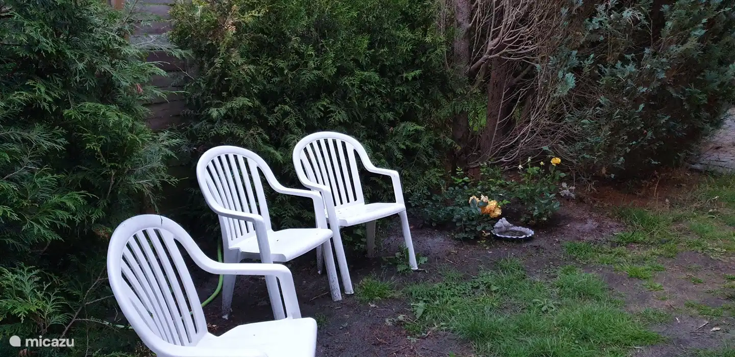 Als je je wilt terugtrekken uit het feest, kun je een boek pakken en wat meer geïsoleerd gaan zitten.