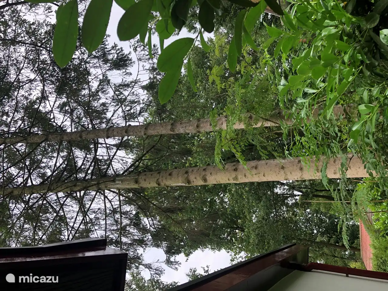 ...de directe omgeving van het huis