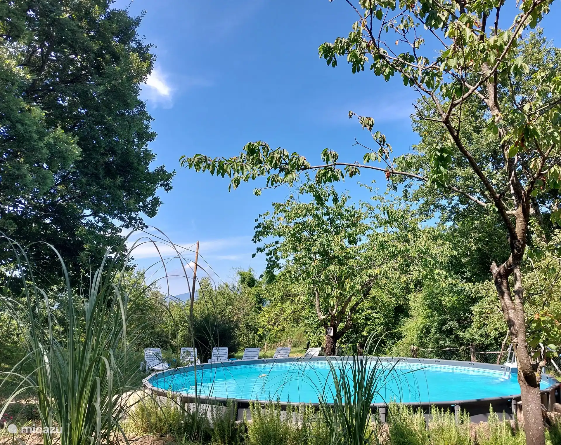 Piscine avec 6 chaises longues