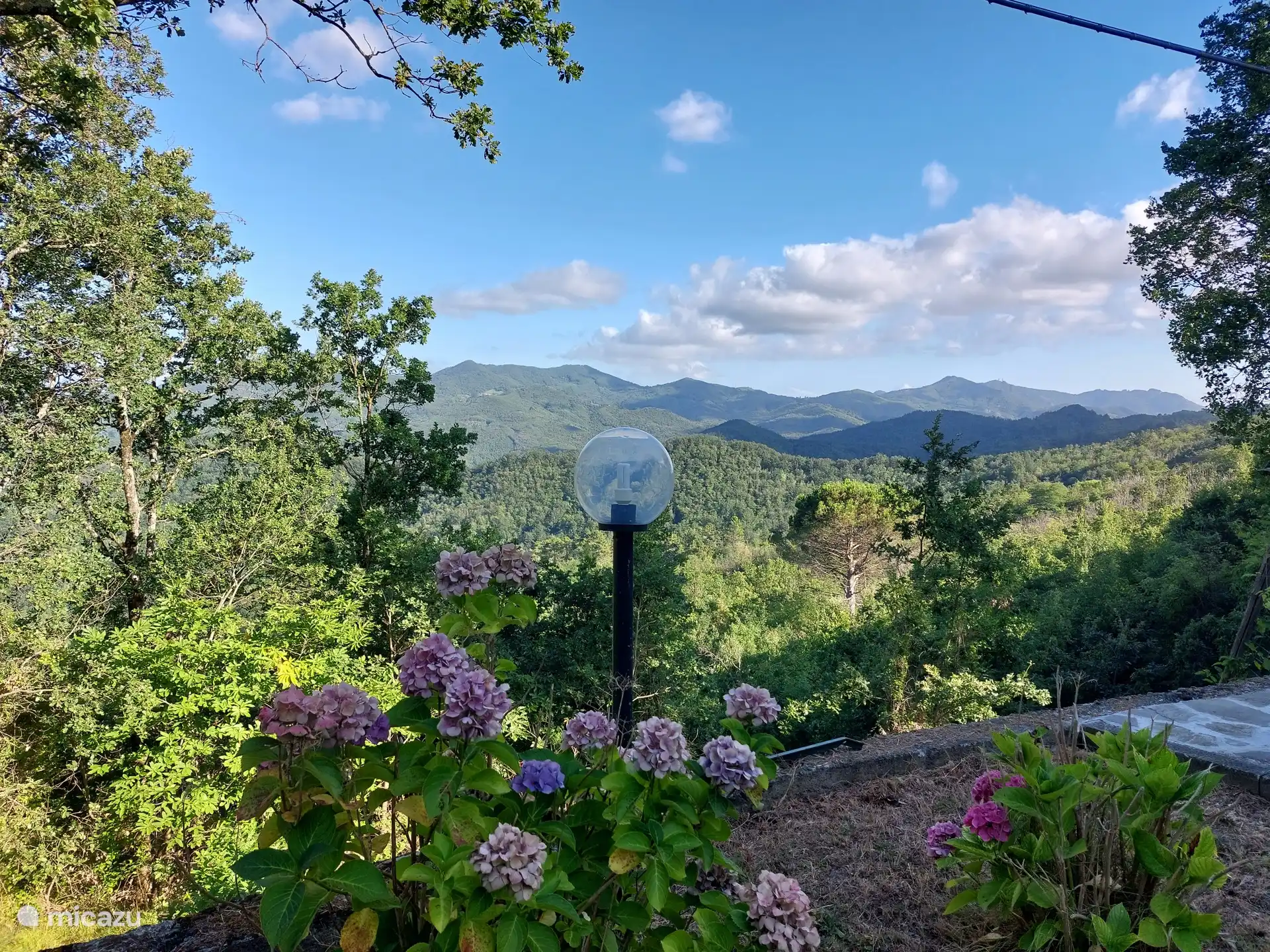 Vue depuis la terrasse