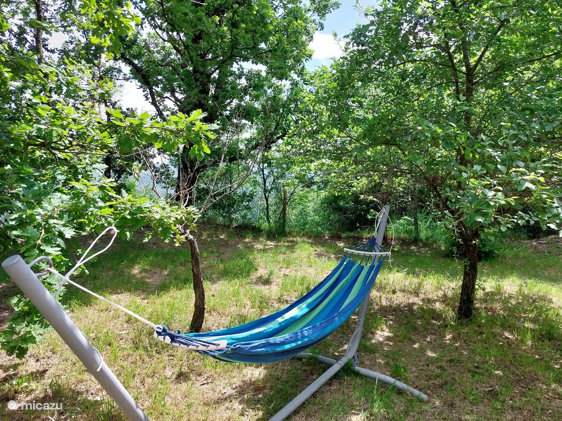 Tapis de main entre les arbres fruitiers