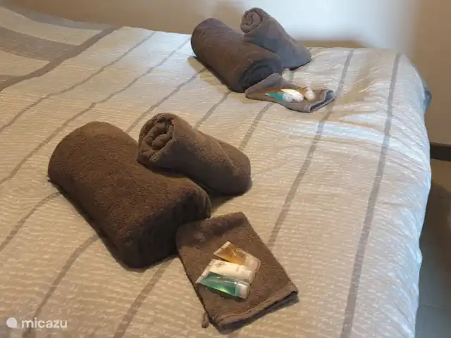 Maison Bonne Humeur Achouffe huren in België, Ardennen, Houffalize - gîte / cottage Handdoekenpakket (optioneel bij te boeken)