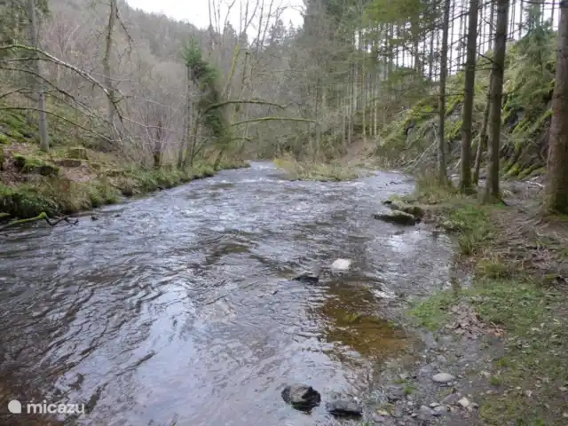 Maison Bonne Humeur Achouffe huren in België, Ardennen, Houffalize - gîte / cottage De Ourthe